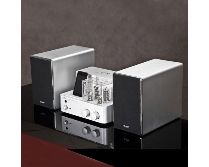 Ensemble CAV : dock Ipod/ampli tubes + paire HP